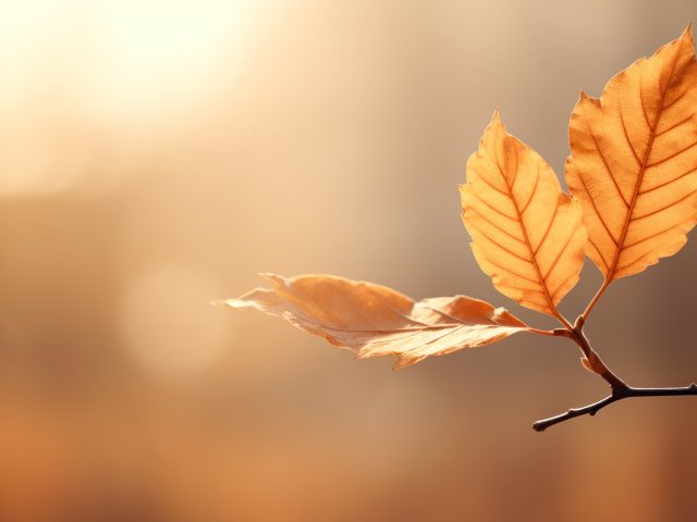 Sonno in autunno e difficoltà a riposare